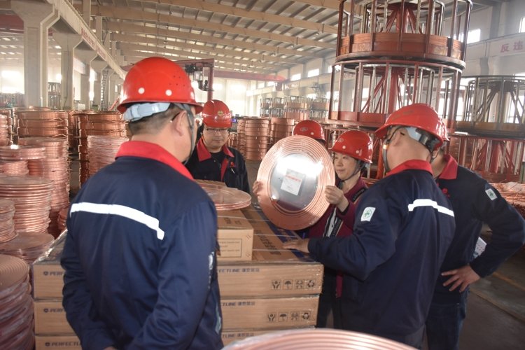 CMD368(中国区)体育有限公司官网