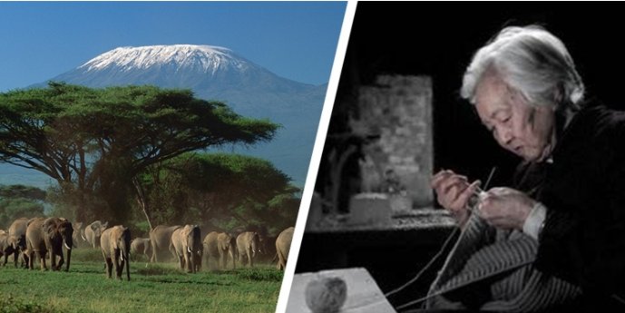 CMD368(中国区)体育有限公司官网