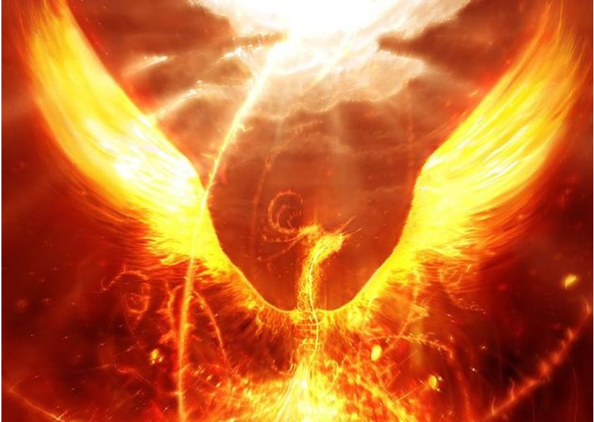 CMD368(中国区)体育有限公司官网